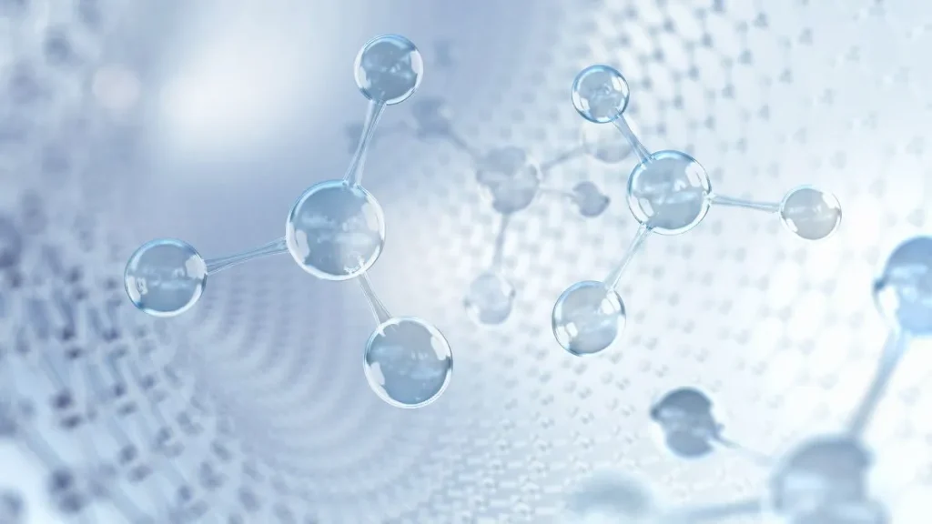 Types of Stem Cells Used in Regenerative Medicine